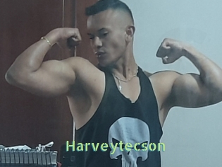 Harveytecson