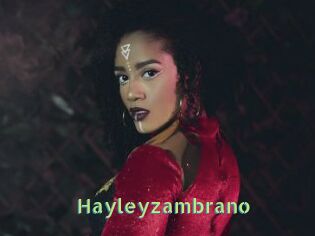 Hayleyzambrano