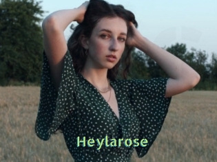 Heylarose