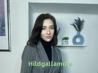 Hildgallamore