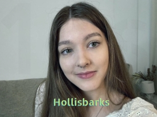 Hollisbarks