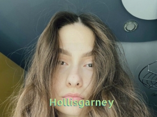 Hollisgarney