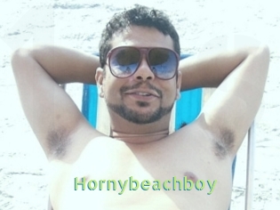 Hornybeachboy