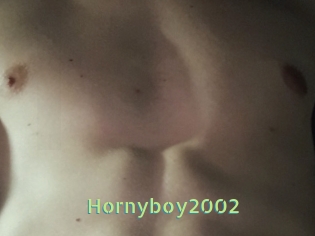 Hornyboy2002