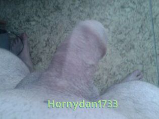 Hornydan1733