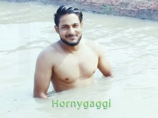 Hornygaggi