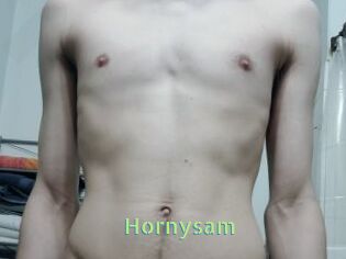 Hornysam