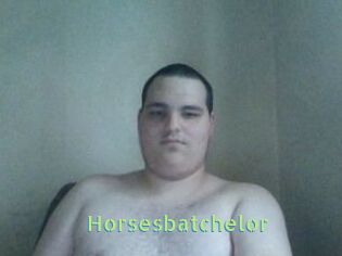 Horsesbatchelor