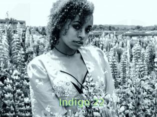Indigo_22