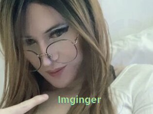 Imginger