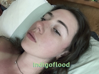 Indigoflood