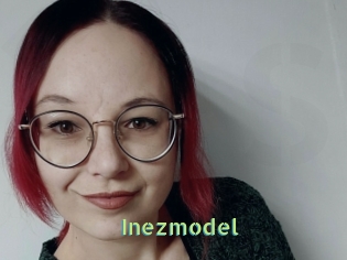 Inezmodel