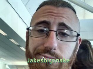 Jakesbigsnake