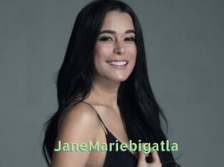 JaneMariebigatla