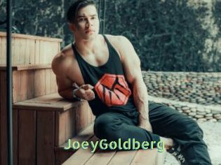 JoeyGoldberg