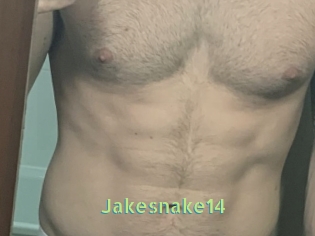 Jakesnake14