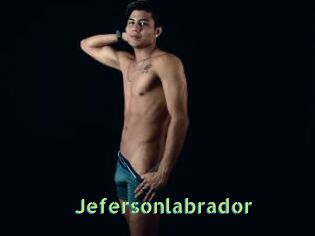 Jefersonlabrador