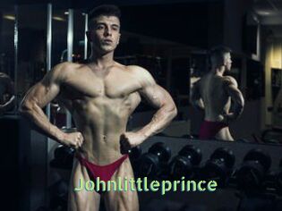 Johnlittleprince