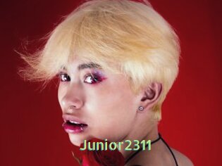 Junior2311