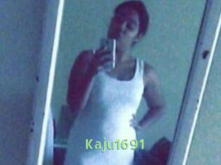 Kaju1691