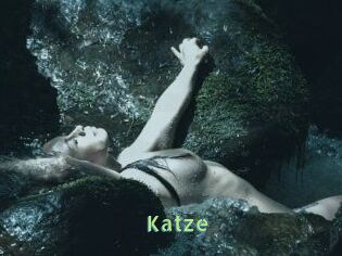 Katze