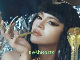 KeshBorts Une Etudiante Sexy
