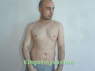Kingofmycastlee