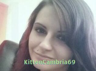 KittenCambria69