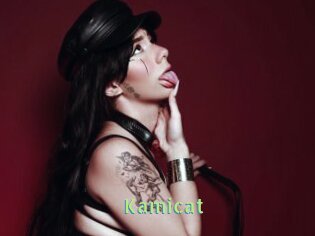 Kamicat