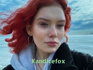 Kandicefox
