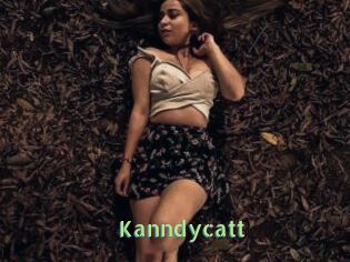 Kanndycatt