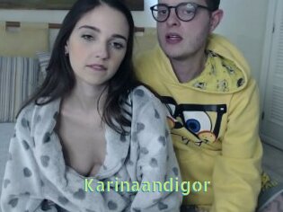 Karinaandigor