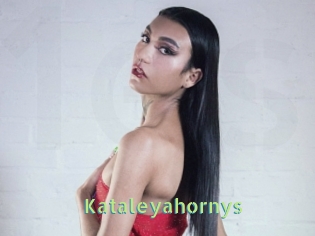 Kataleyahornys