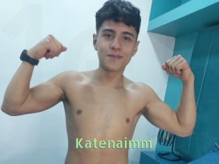 Katenaimm