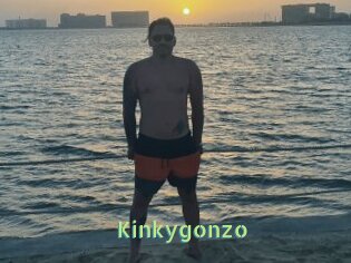 Kinkygonzo