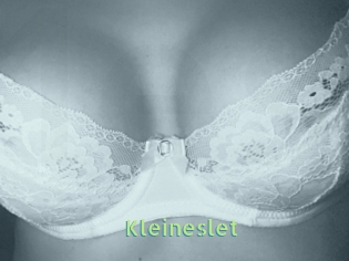 Kleineslet