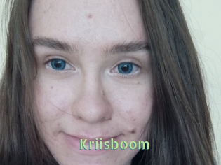 Kriisboom