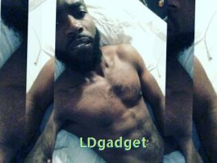 LDgadget