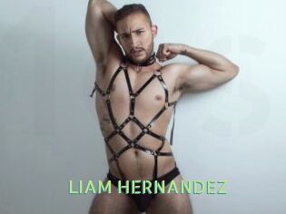 LIAM_HERNANDEZ