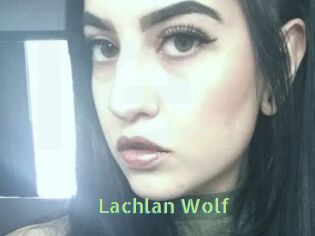 Lachlan_Wolf