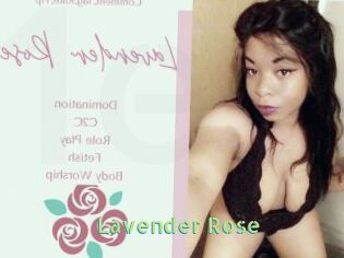 Lavender_Rose
