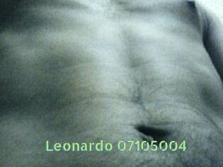 Leonardo-07105004