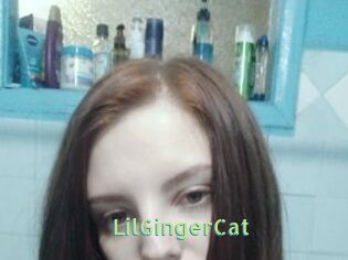 LilGingerCat