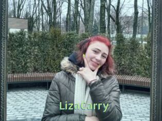 LizaCarry