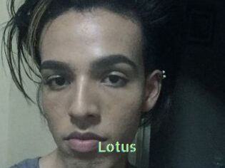 Lotus