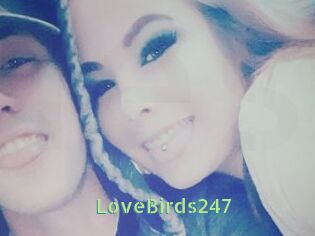 LoveBirds247