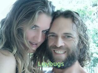 Luvbugs
