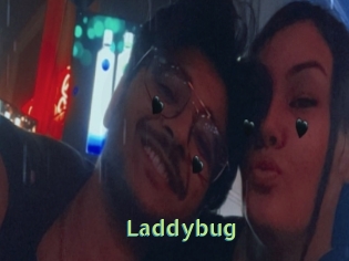 Laddybug