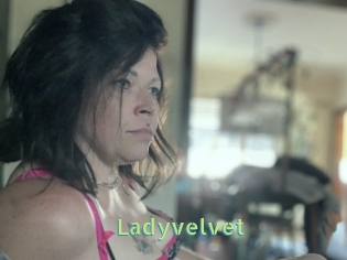 Ladyvelvet