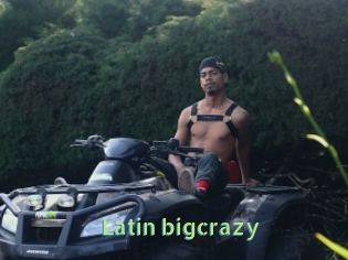 Latin_bigcrazy